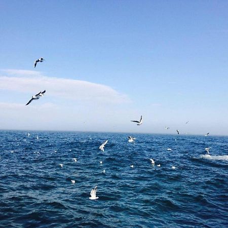 Costafontana Lägenhet Odessa Exteriör bild