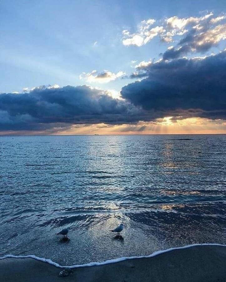 Costafontana Lägenhet Odessa Exteriör bild
